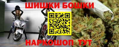 прущие грибы Пенза