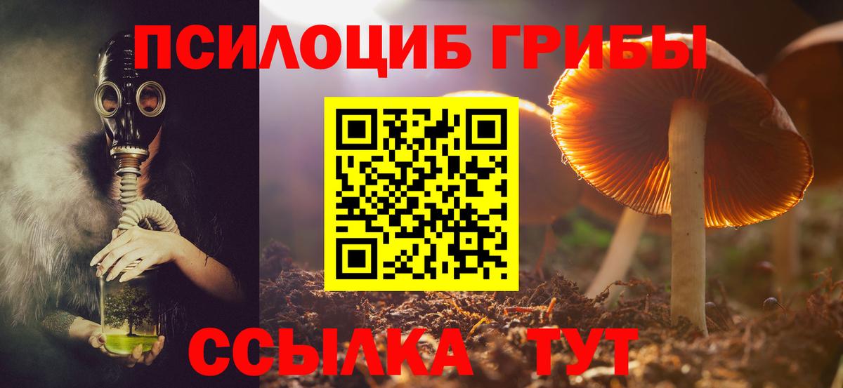 Галлюциногенные грибы Magic Shrooms  Галлюциногенные грибы GOLDEN TEACHER  Рузаевка  Вход с VPN 